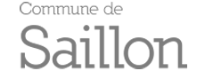 saillon_gris